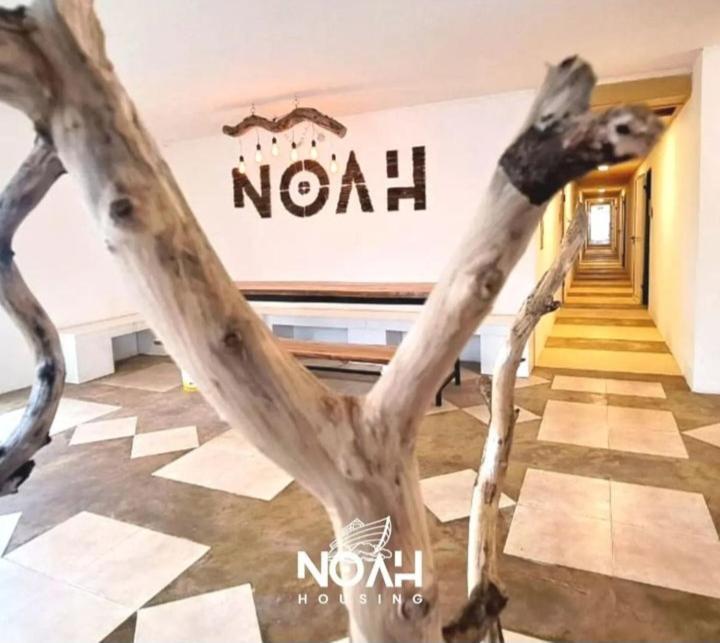 Noah Housing Hostel *